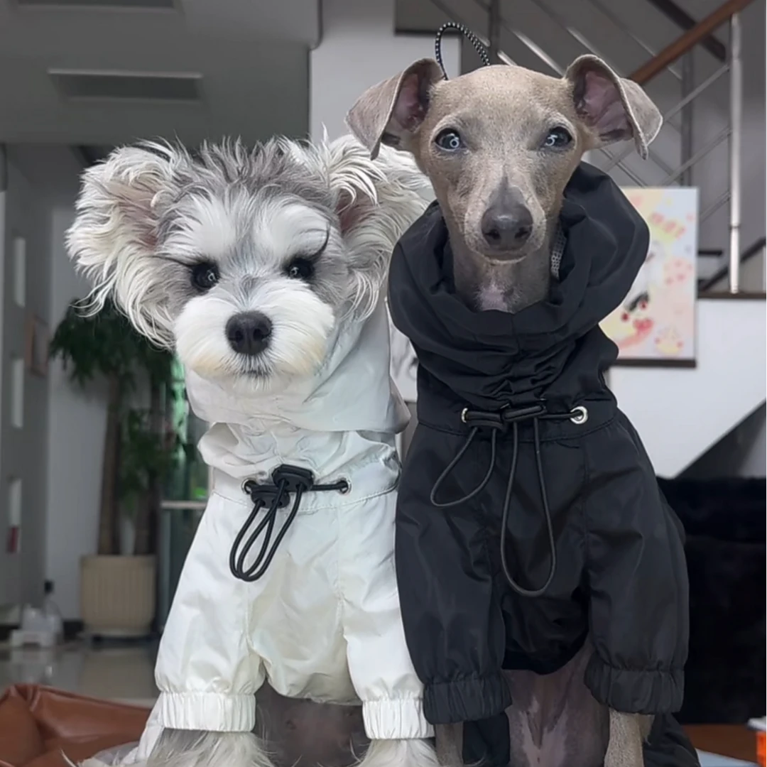【汪叽咪】狗狗四腿雨衣防风高领胸背一体宠物冲锋衣中小型狗狗雨衣
