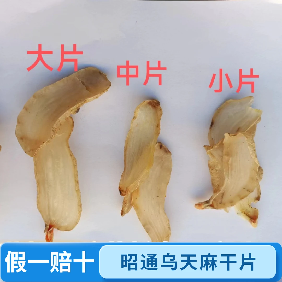 正宗【乌天麻干片】云南昭通小草坝三年高山老品种煲汤泡酒嚼吃特产