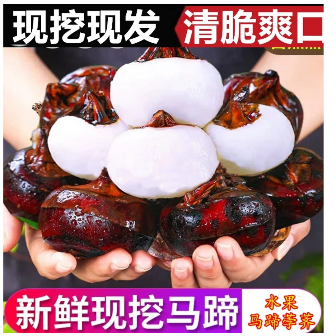 湖北新鲜水果马蹄荸荠地梨农家现挖红皮马蹄清甜脆甜爽口C10