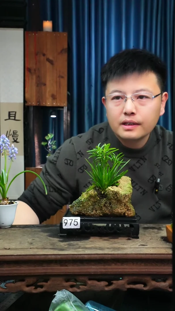 【闪购商品】苔藓微景观975号