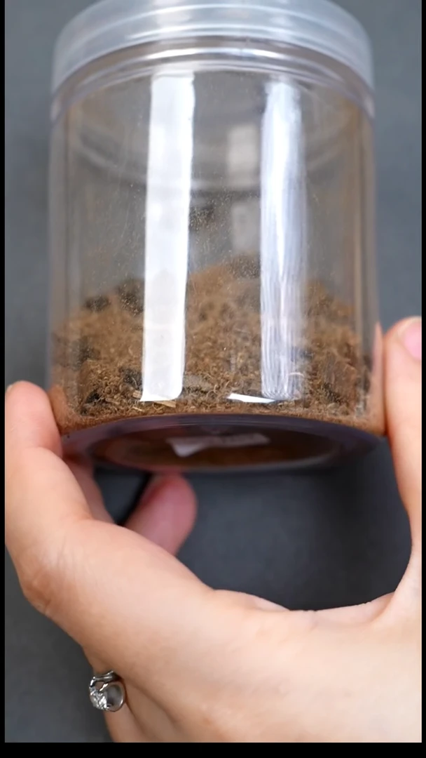 沉香沉香碎屑达拉干沉水粉料帝王香1g