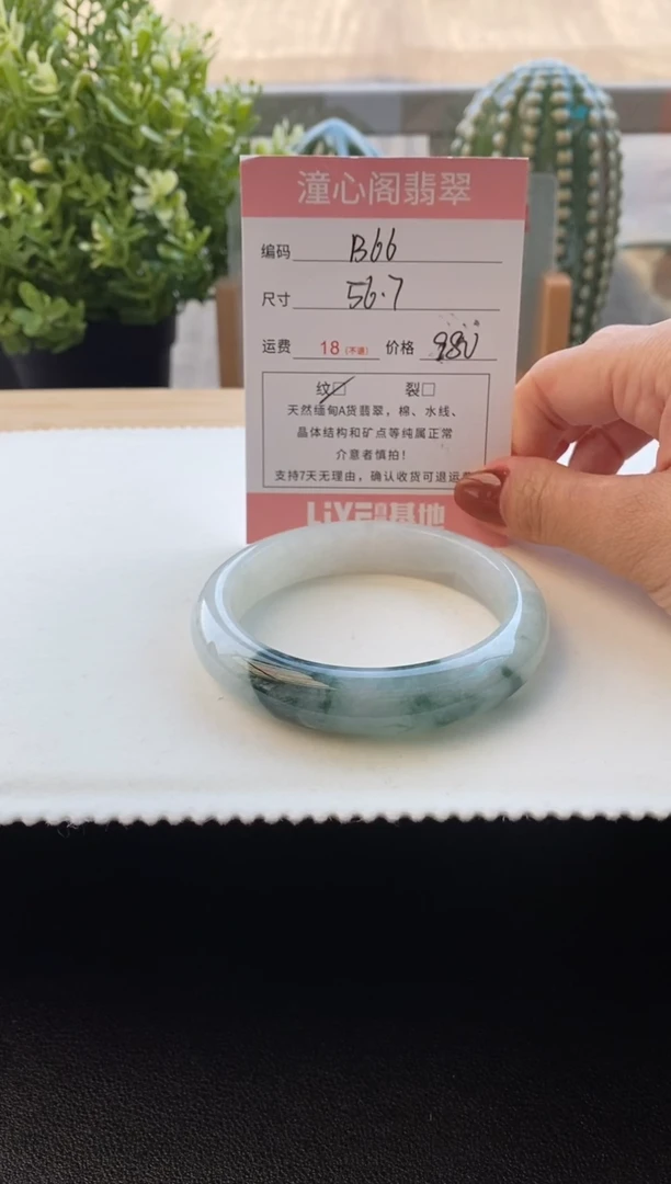未镶嵌手镯翡翠56.5圈口 编码B66