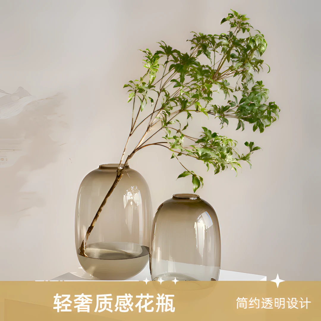 客厅上档次喜悦大肚花瓶高通透水培器皿轻奢卧室水养插花家居生活