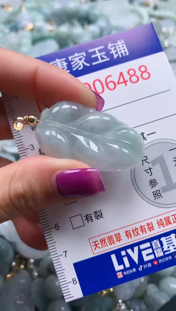 颈饰未镶嵌翡翠6488