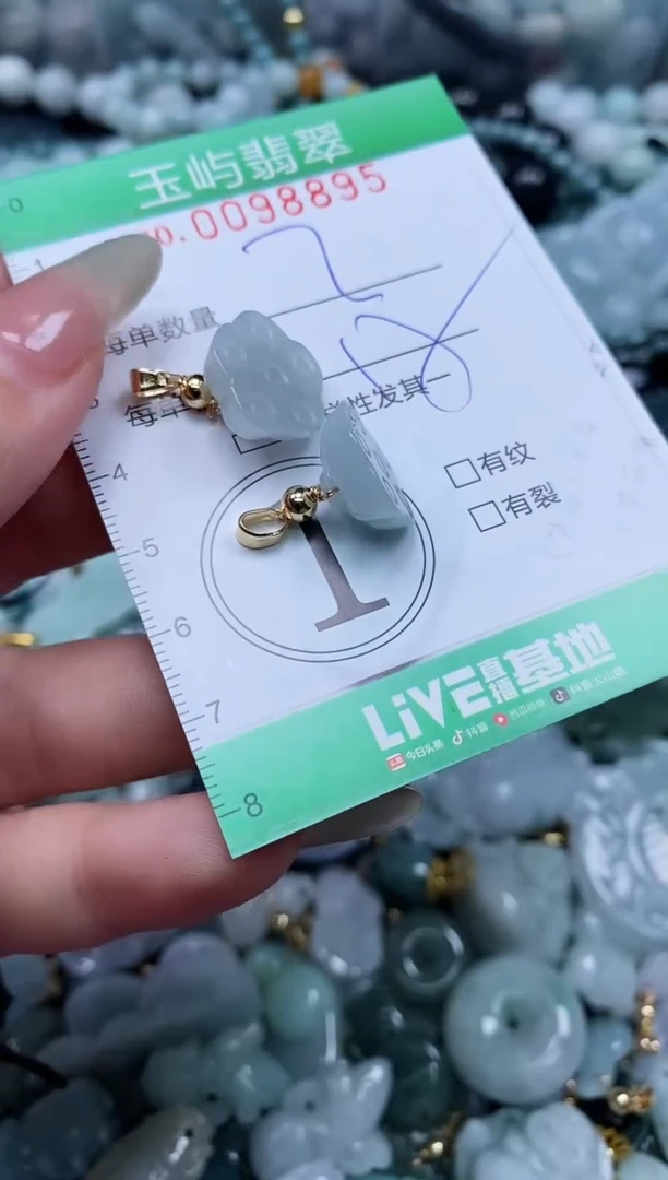 【闪购商品】翡翠未镶嵌颈饰闪购0098895