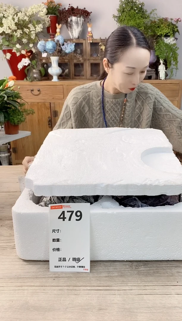 小玩子花盆直播号479