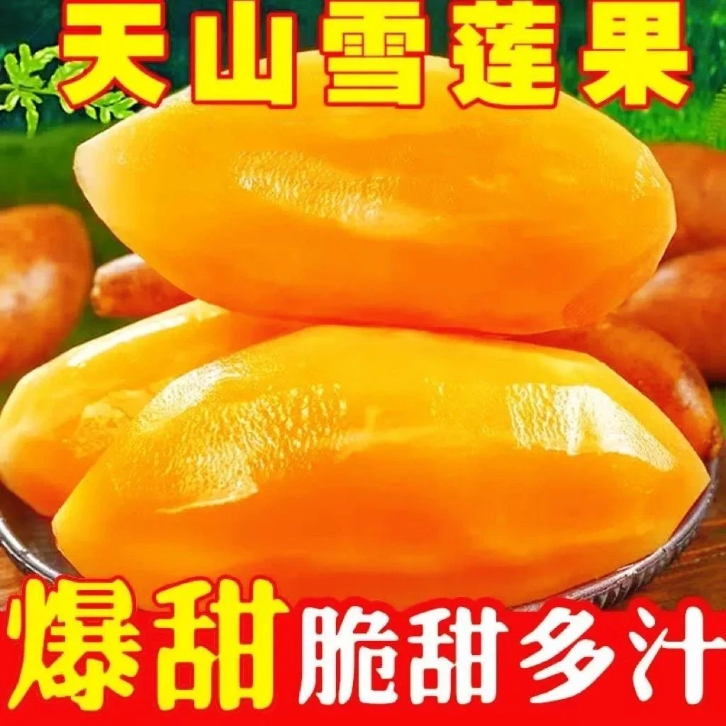 【亏本一万单】云南正宗黄心天山雪莲果现挖新鲜应急水果清甜脆爽qd
