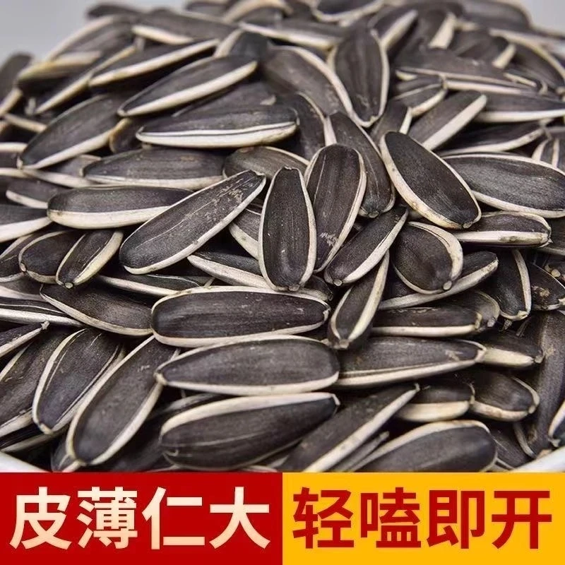 【5斤装】新货熟葵花子原味瓜子炒货大颗粒熟瓜子