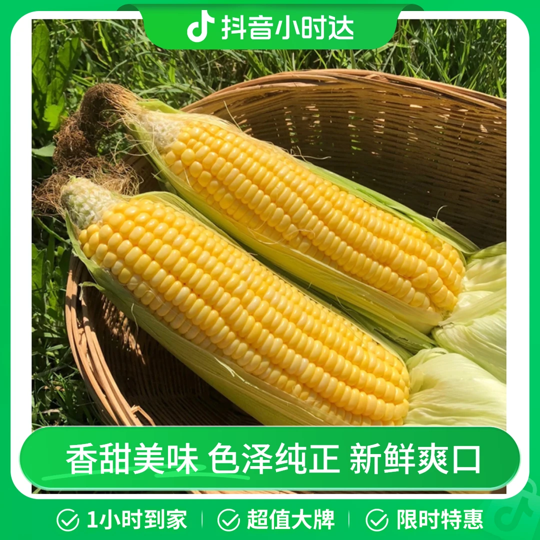甜玉米2根650g±30g