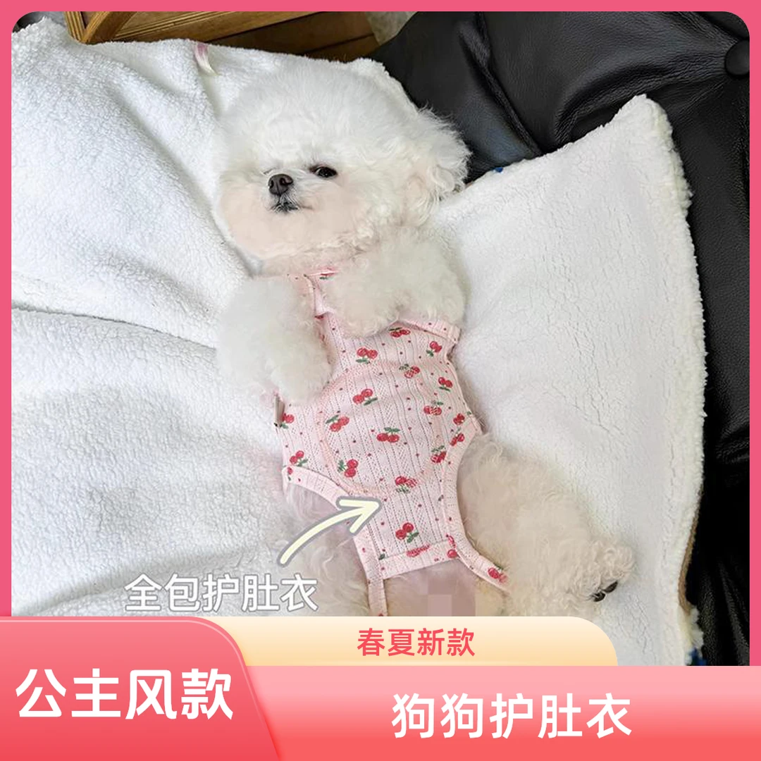 宠物衣服春夏新款包肚衣护肚衣狗狗猫咪小型犬比熊泰迪手术居家服
