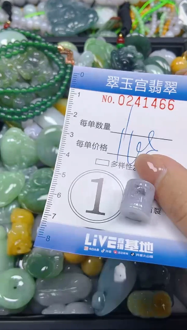 颈饰未镶嵌翡翠闪购C0241466