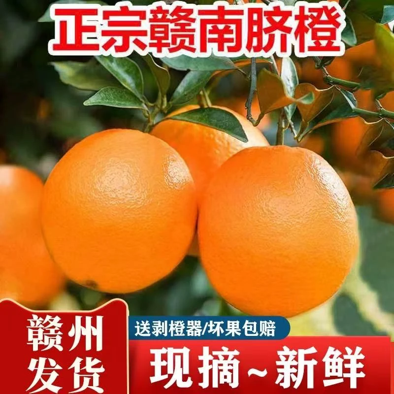 DM【现摘现发】正宗脐橙皮薄肉厚多汁当季新鲜采摘发货【多仓发货】