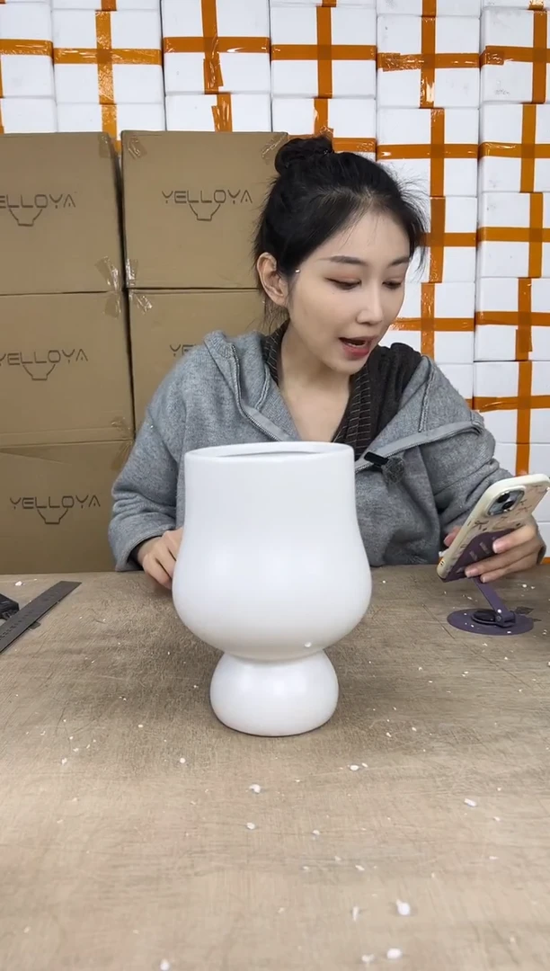 花盆花盆中号01.04--6