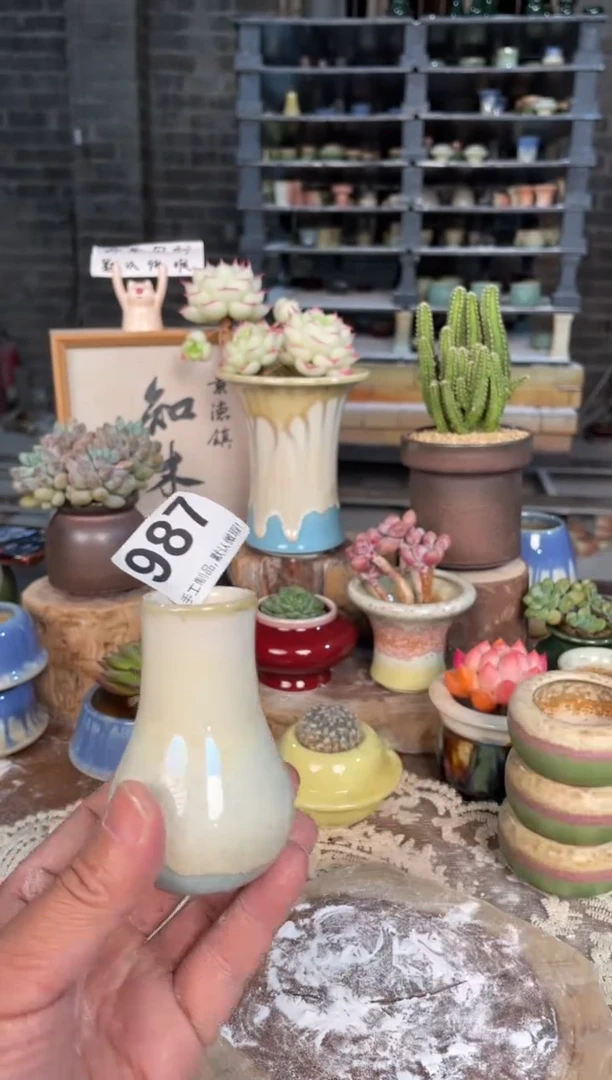 瓷片987小芳直播编号