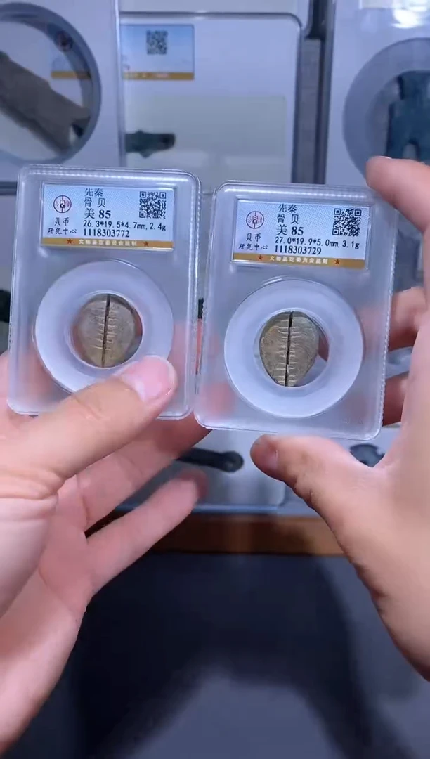 【闪购商品】铜品泉收藏     先秦骨贝