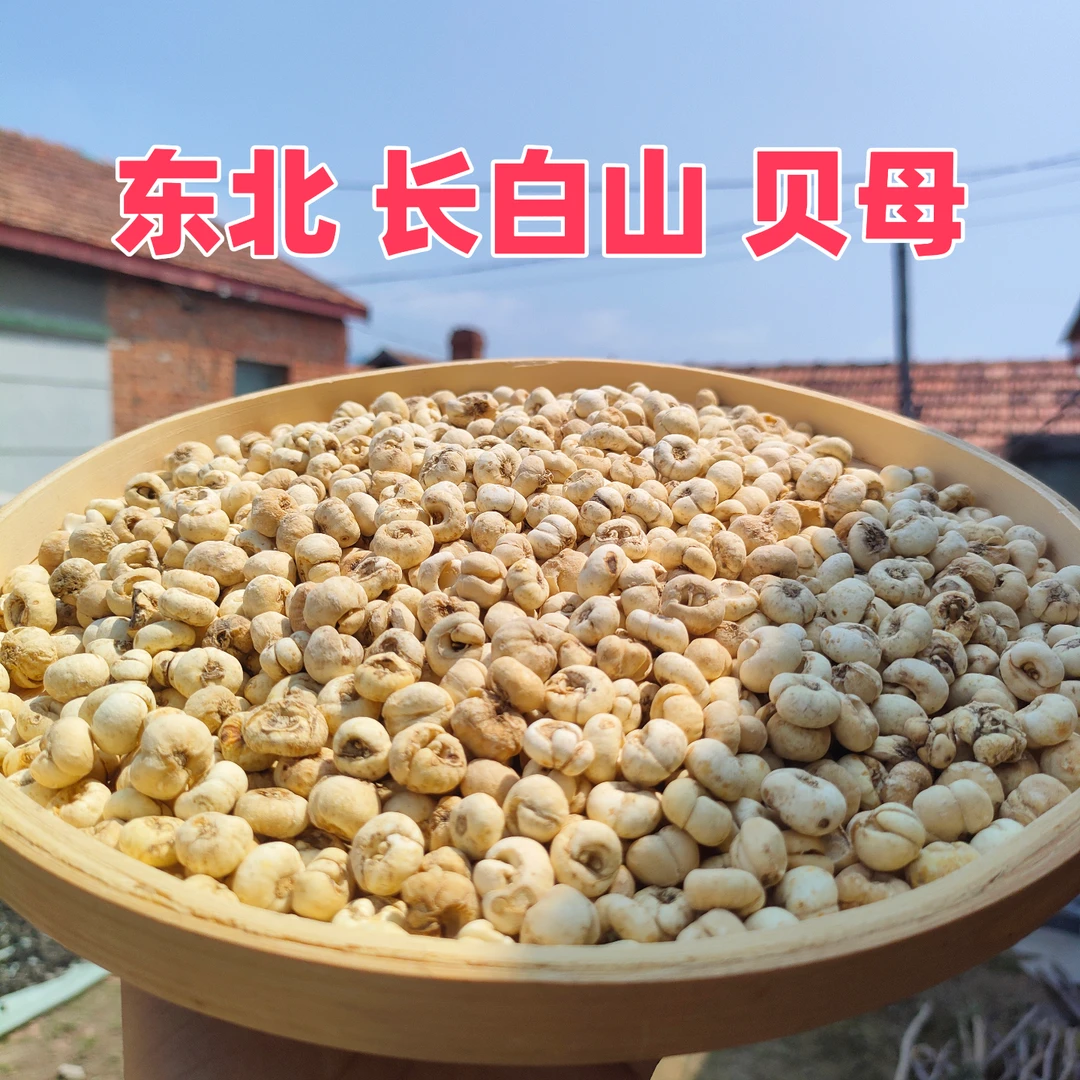 东北长白山贝母 平贝 无熏硫小贝母