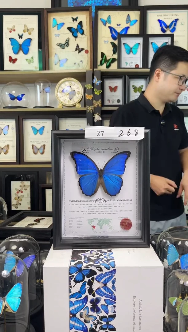 大蓝闪蝶10寸中文豪华版Z7