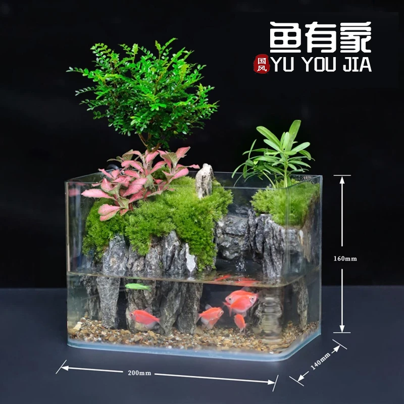 生态桌面生态缸玻璃鱼缸草缸微景观龟缸可养鱼客厅家用小鱼缸