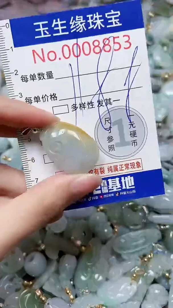 【闪购商品】翡翠颈饰未镶嵌闪购00008853