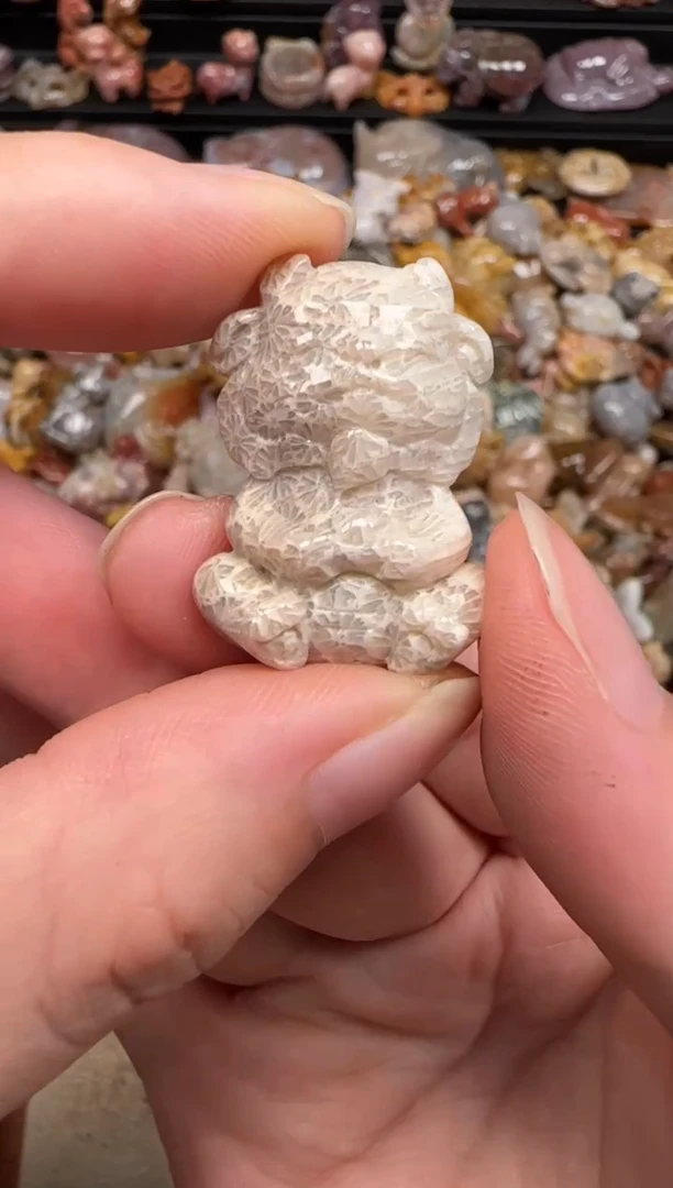 硅化珊瑚（珊瑚玉）未镶嵌颈饰211