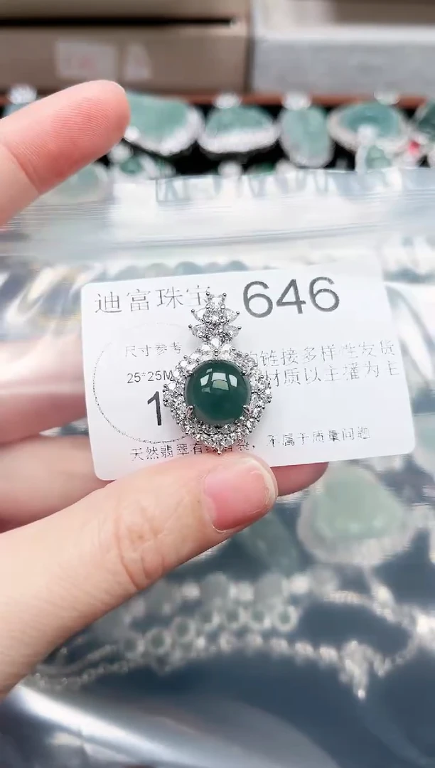【闪购商品】翡翠颈饰未镶嵌赠皮绳646
