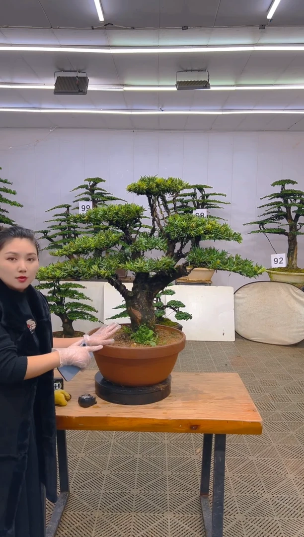 无花朵一物一拍一物一拍