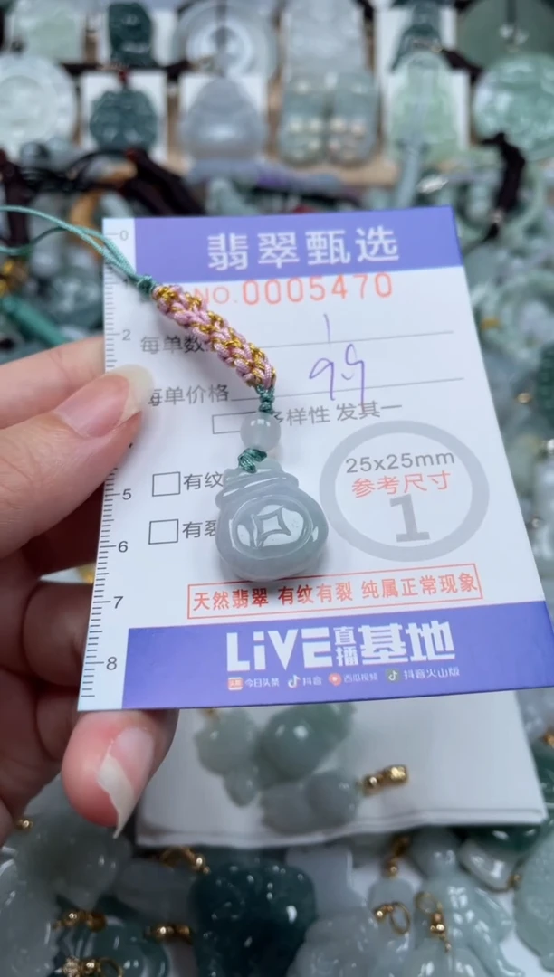 翡翠未镶嵌颈饰00..5470