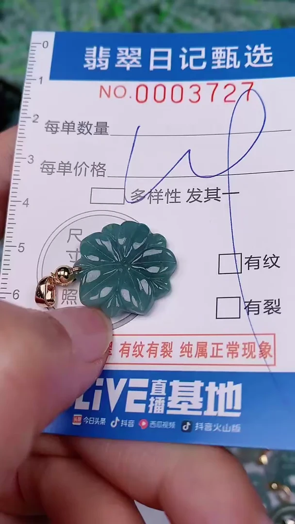 【闪购商品】翡翠颈饰未镶嵌00003727