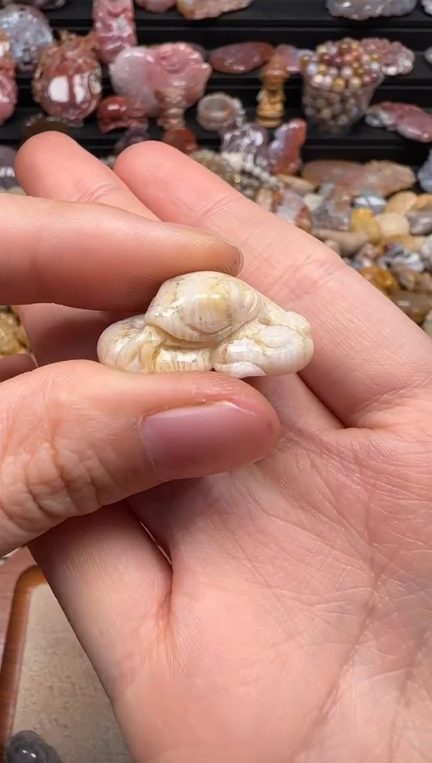 【闪购商品】硅化珊瑚（珊瑚玉）颈饰未镶嵌236