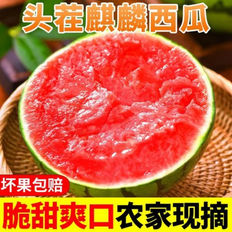 【新鲜现摘】正宗麒麟西瓜冰糖美都瓜薄皮脆甜红心西瓜随机有籽无籽