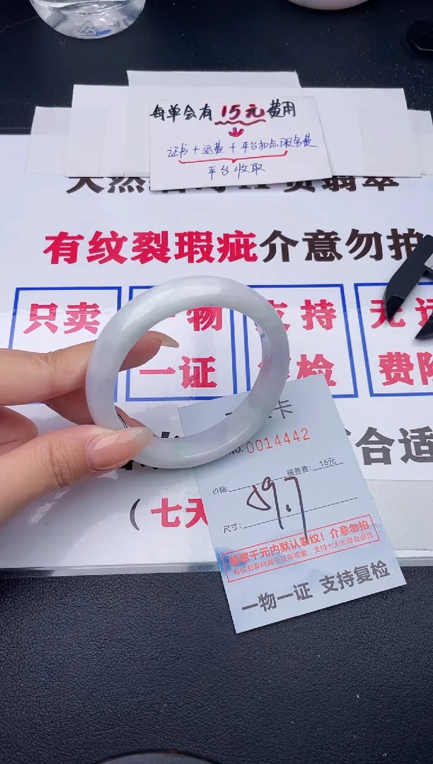 未镶嵌手镯翡翠42