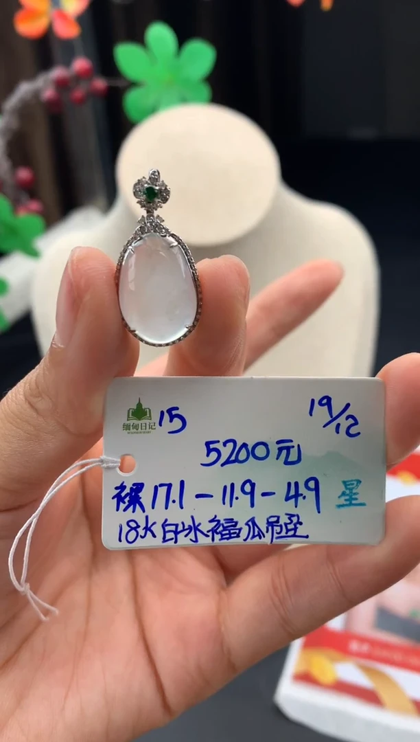 颈饰未镶嵌翡翠翡翠自带#送人#，假一赔三