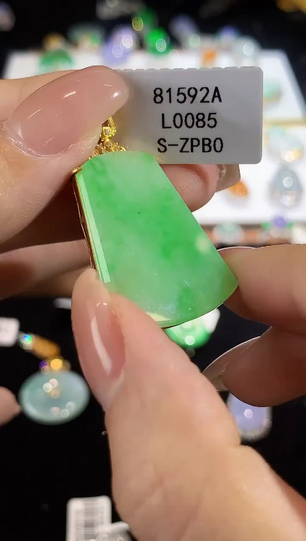 翡翠18K金镶嵌吊坠(不含链)L0085多样性发其一