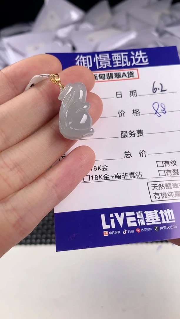 翡翠银S925镶嵌颈饰9