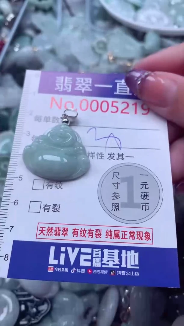 翡翠未镶嵌吊坠(不含链)5219