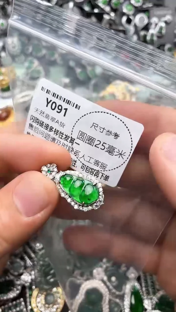 翡翠未镶嵌颈饰Y091吊坠