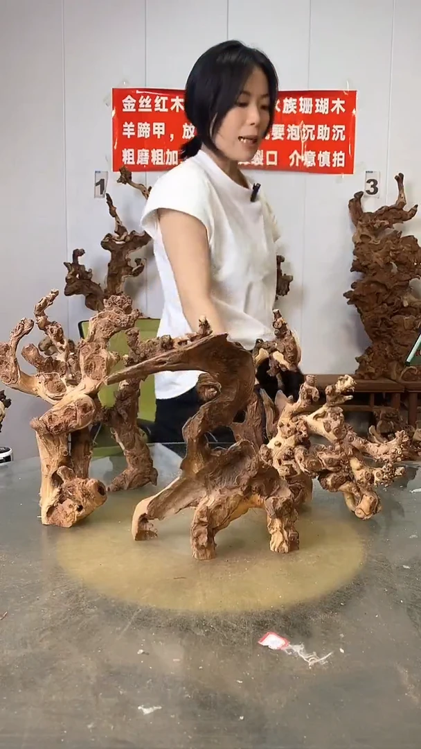 香榧木金丝红木 羊蹄甲