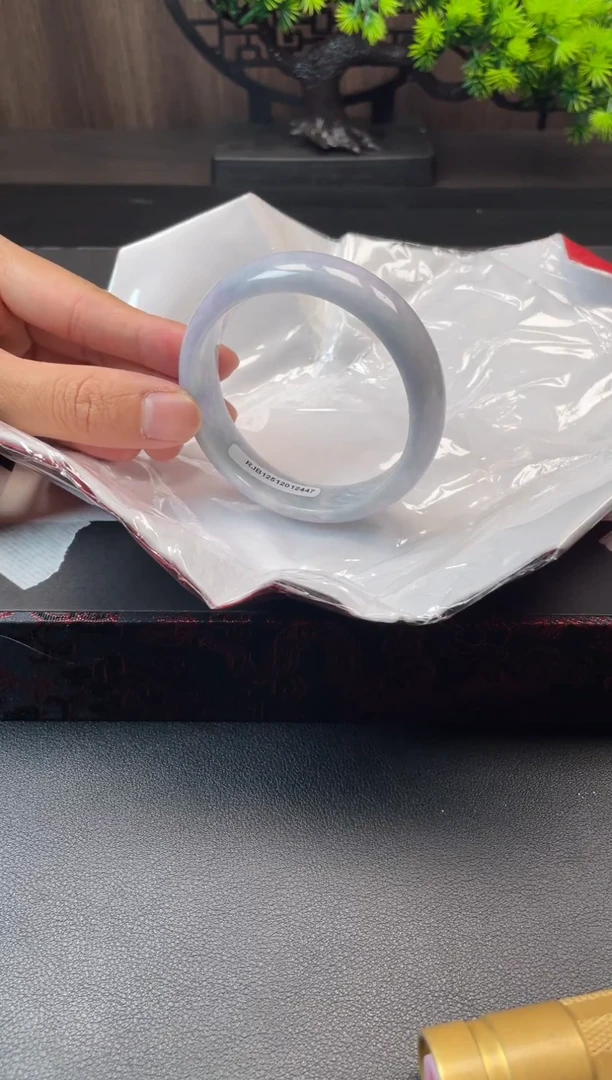 未镶嵌手镯翡翠9943