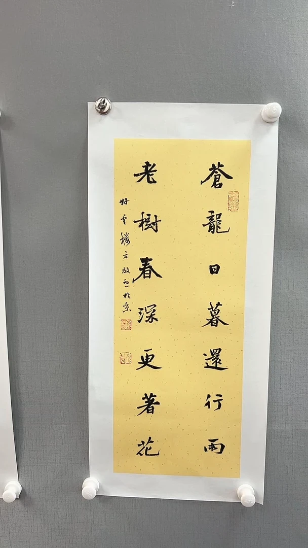 【闪购商品】书法雅艺典藏文化书法