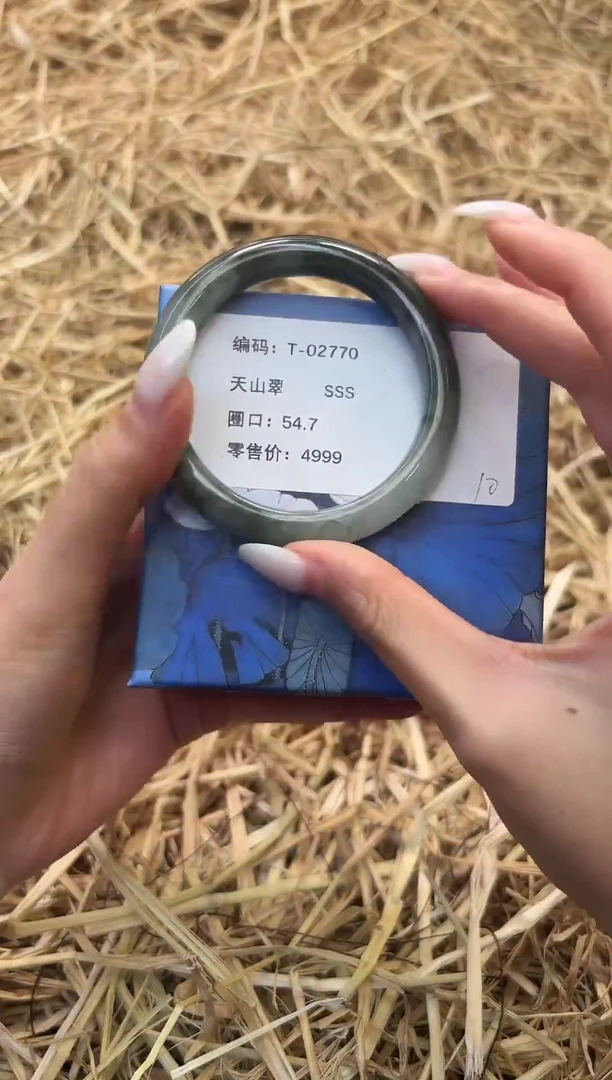 未镶嵌手镯石英质玉T02770-54.7