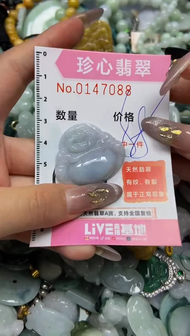 【闪购商品】翡翠颈饰未镶嵌闪购0147088