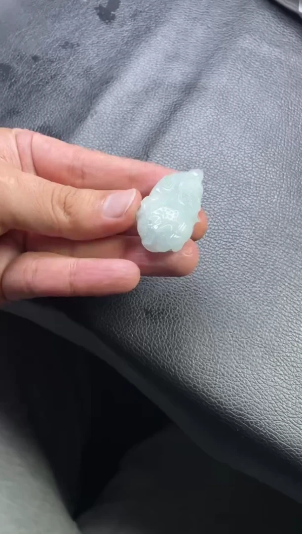 翡翠未镶嵌颈饰多样性发一件H9