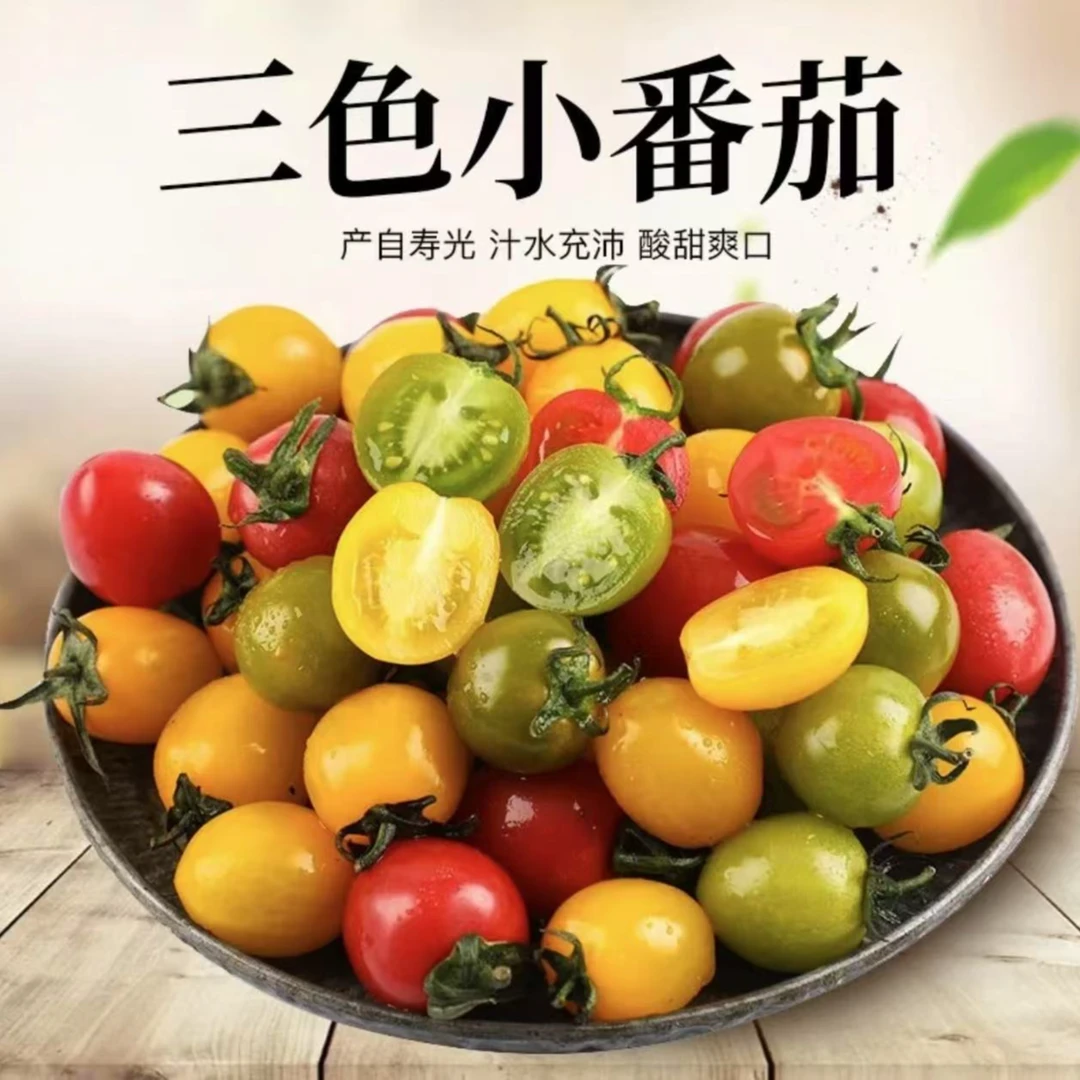山东寿光现摘现发千禧+青甜+迷恋混装西红柿小番茄圣女果酸甜多汁
