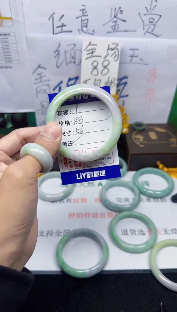 未镶嵌手镯翡翠9