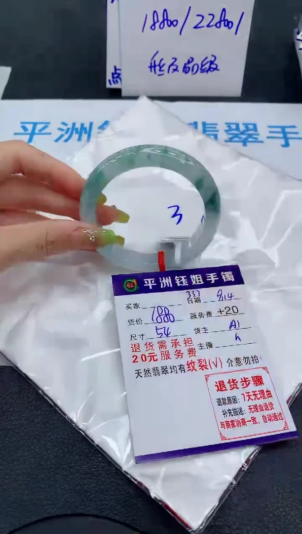 未镶嵌手镯翡翠1