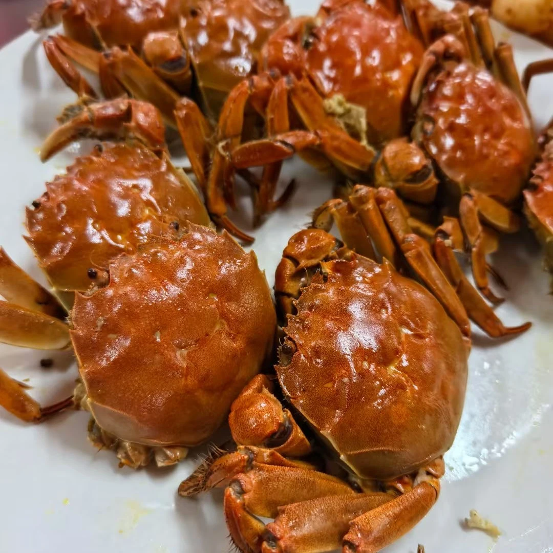 【活蟹】盘锦河蟹全母蟹2斤（1.6-1.3两）礼盒包装