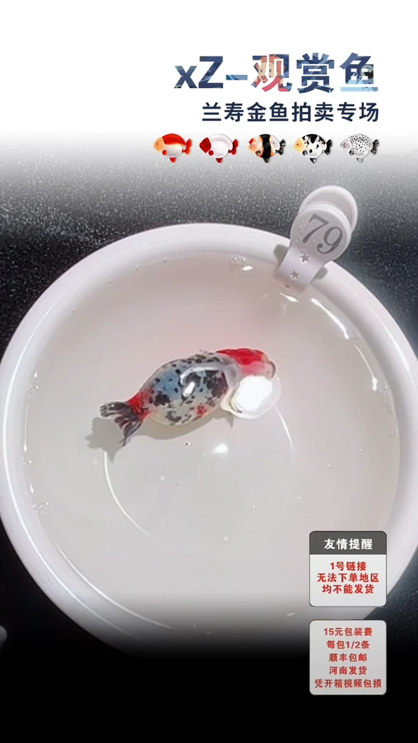 海水鱼包装必拍未拍顺丰到付79号