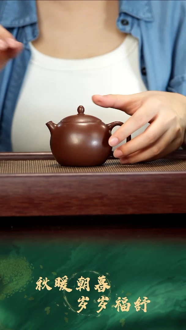 茶壶紫砂紫砂壶孤品福利20