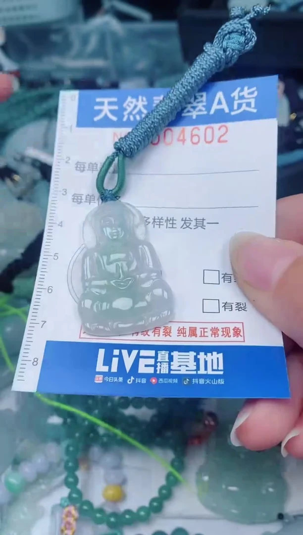 颈饰未镶嵌翡翠00004602