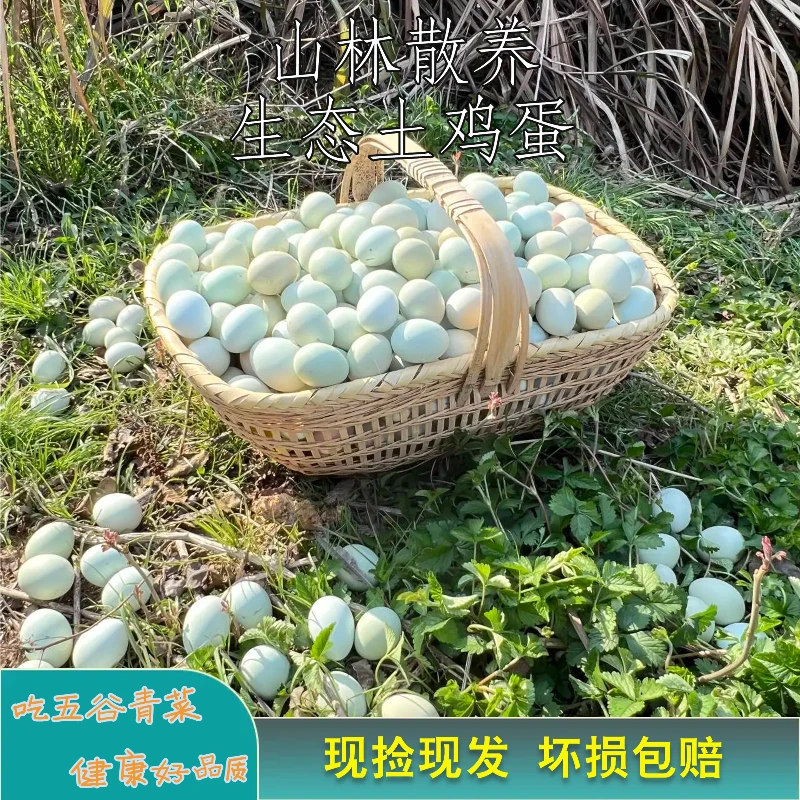 新号福利 拍20个送10个 纯粮食山林散养 农家土鸡蛋30枚